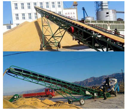 Belt conveyor conveying grain on site