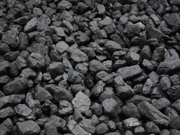 Coal for Conveyor