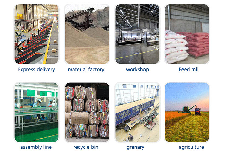 Belt conveyor system application industry